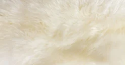 Lanna Ivory Sheepskin Throw 2 X 3 – Luxurious Home Decor Accent -Furniture Sales 2024 image19437
