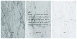 Vena Walnut Square Side Table - Modern Wooden Accent Table for Living Room 18 Vena Walnut Square Side Table - Modern Wooden Accent Table for Living Room -Furniture Sales 2024 image30846