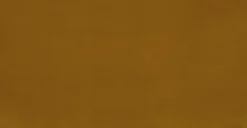 Sven Yarrow Gold Sofa - Modern Luxury Sofa for Living Room -Furniture Sales 2024 image69407