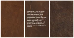 Cigar Rawhide Brown Loveseat - Comfortable Sofa for Modern Living Room -Furniture Sales 2024 image72915