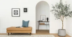 Sven Charme Tan Bench - Stylish & Comfortable Seating for Indoor & Outdoor Use