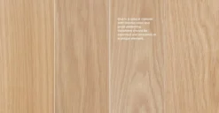 Esse Light Oak Counter Stool - Modern Bar Stool for Kitchen & Dining -Furniture Sales 2024 image89648