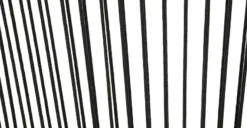 Calicut Coast Black Outdoor Dining Chair – Durable & Stylish Patio Seating -Furniture Sales 2024 image91653