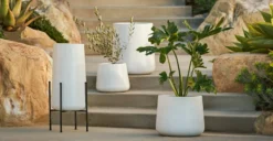 Tuva White Narrow Indoor/Outdoor Planter - Modern Design for Plants & Décor